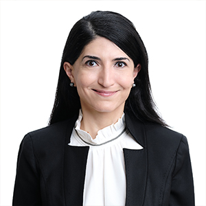 Dr.Manijeh Berenji